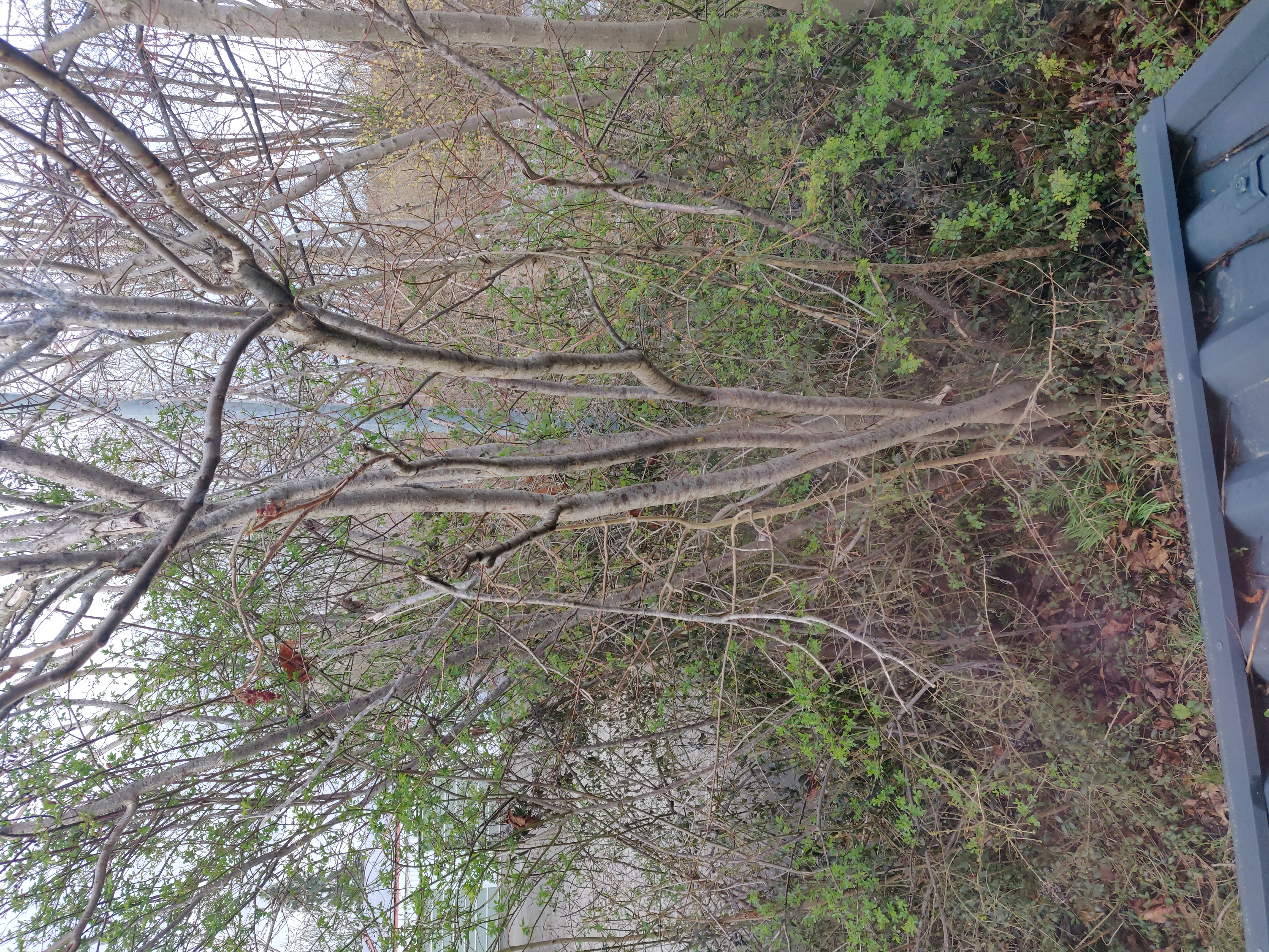 Article Teaser Image